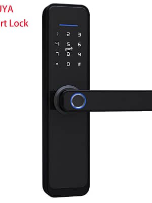 Tuya WiFi Smart Lock Core Cylinder Intelligent Security Door Lock Bluetooth Double Lock Body Encryption with Keys Work w